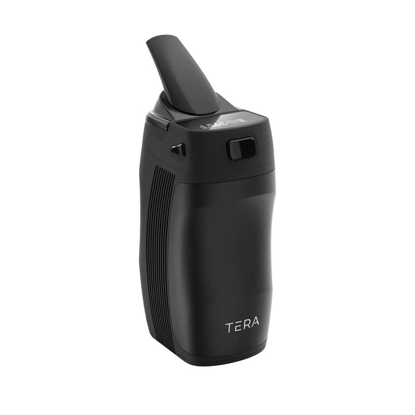 Boundless Tera Version 2024