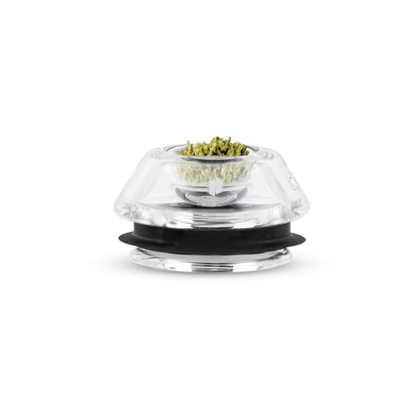 Proxy - Flower Bowl - Insert en verre pour les herbes