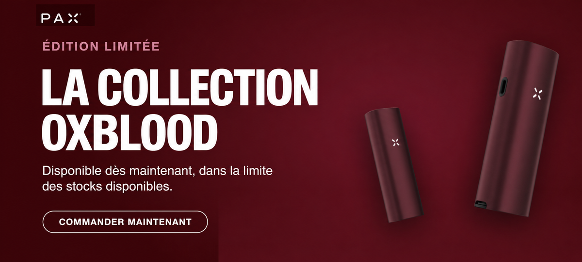 PAX – mini 2 et four en Oxblood