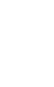 Arizer